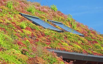 Church Village living roof systems