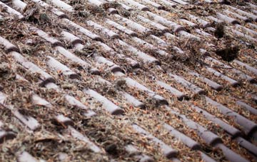 Church Village roof cleaning companies